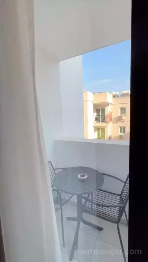 Standard (#110) view picture #3