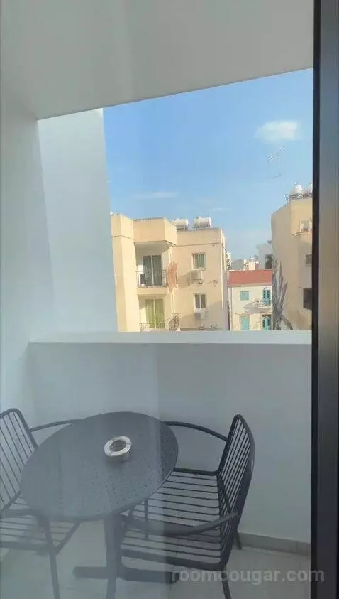 Standard (#110) view picture #4