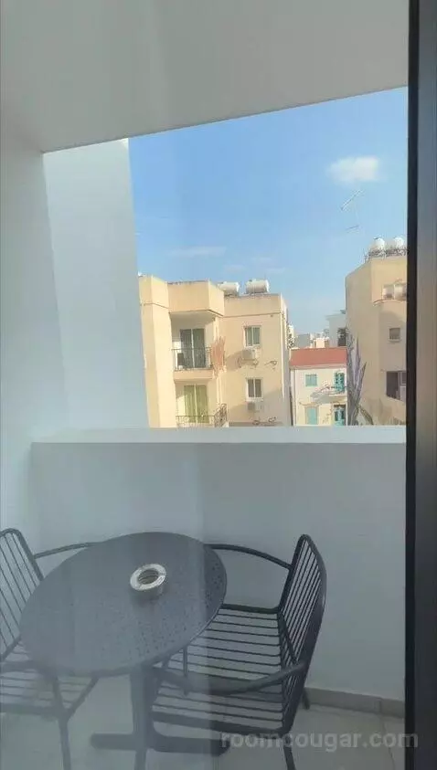 Standard (#110) view picture #5