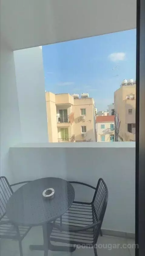 Standard (#110) view picture #6