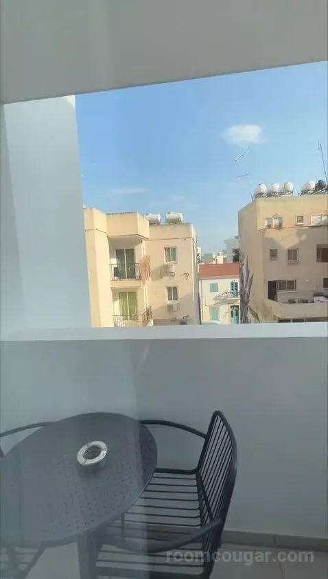 Standard (#110) view picture #7