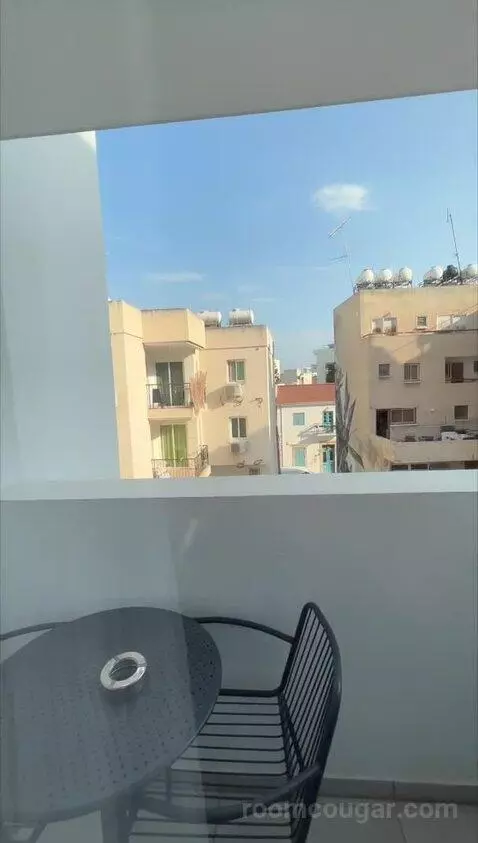 Standard (#110) view picture #12