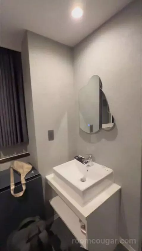 Standard (#502) bathroom picture #1
