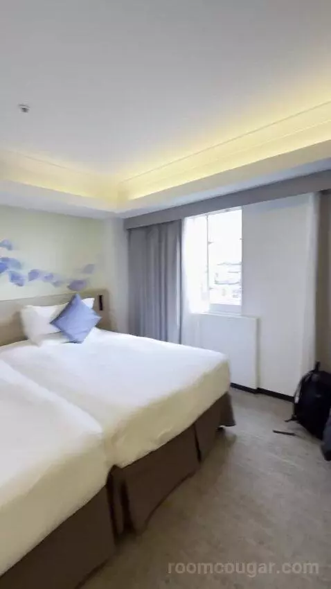 Deluxe Executive Twin Room - Non-Smoking with Premier Lounge (#1328) bed picture #11