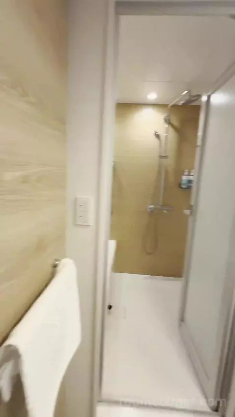 Deluxe Executive Twin Room - Non-Smoking with Premier Lounge (#1328) bathroom picture #10