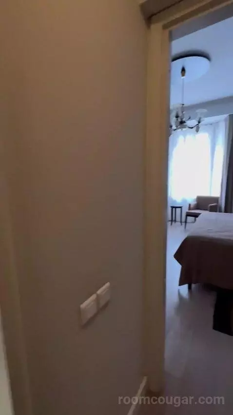 Superior Double Room (#721) picture #4