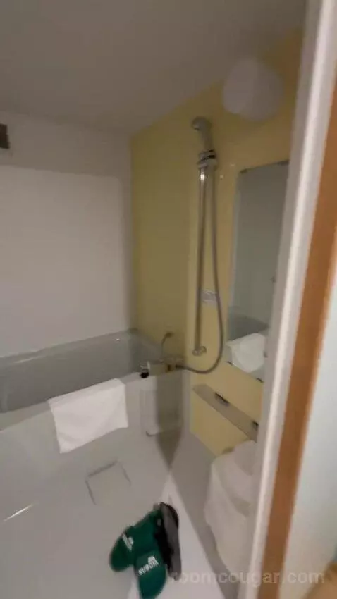 Triple Room (#104) bathroom picture #4
