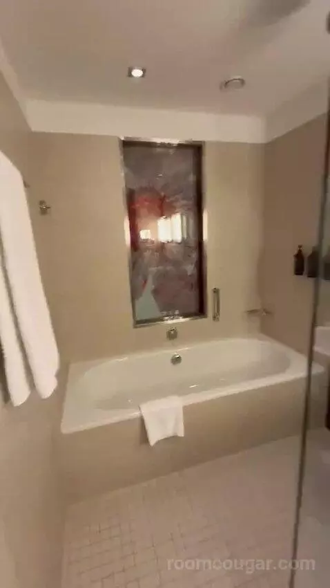 Double Room (#312) bathroom picture #8
