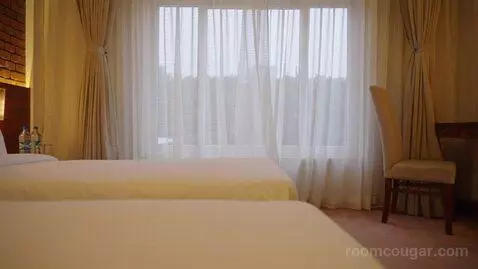 Standard Double or Twin Room (#101) picture #13