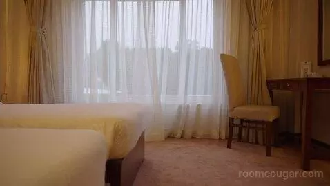 Standard Double or Twin Room (#101) picture #14