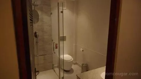 Standard Double or Twin Room (#101) bathroom picture #1