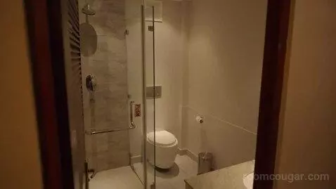 Standard Double or Twin Room (#101) bathroom picture #2
