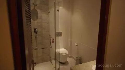 Standard Double or Twin Room (#101) bathroom picture #3