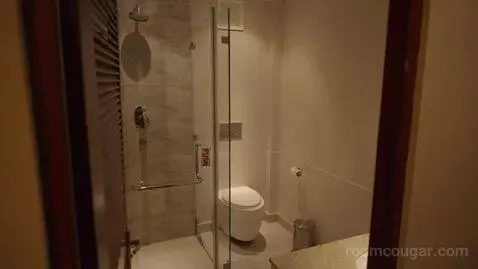 Standard Double or Twin Room (#101) bathroom picture #4