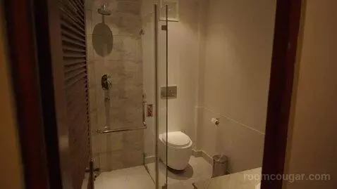 Standard Double or Twin Room (#101) bathroom picture #6