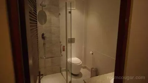 Standard Double or Twin Room (#101) picture #15