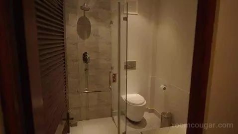 Standard Double or Twin Room (#101) bathroom picture #7