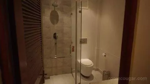 Standard Double or Twin Room (#101) bathroom picture #8