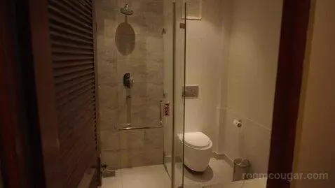 Standard Double or Twin Room (#101) bathroom picture #9