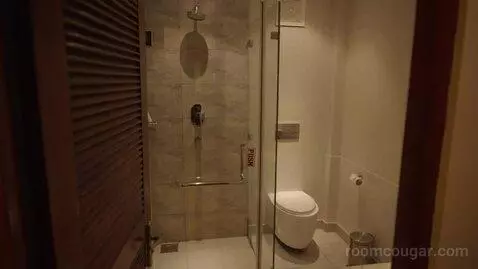 Standard Double or Twin Room (#101) bathroom picture #12