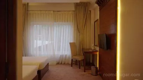 Standard Double or Twin Room (#101) picture #3