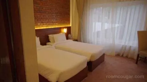 Standard Double or Twin Room (#101) picture #5
