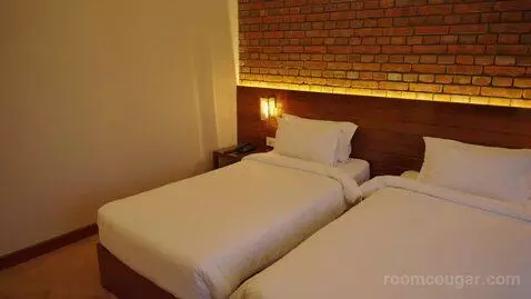 Standard Double or Twin Room (#101) picture #8