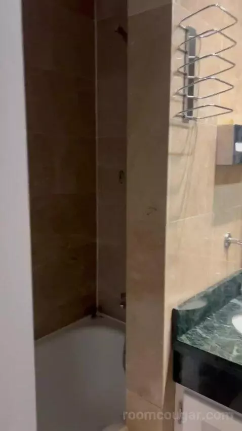 Deluxe Double Room bathroom picture #5