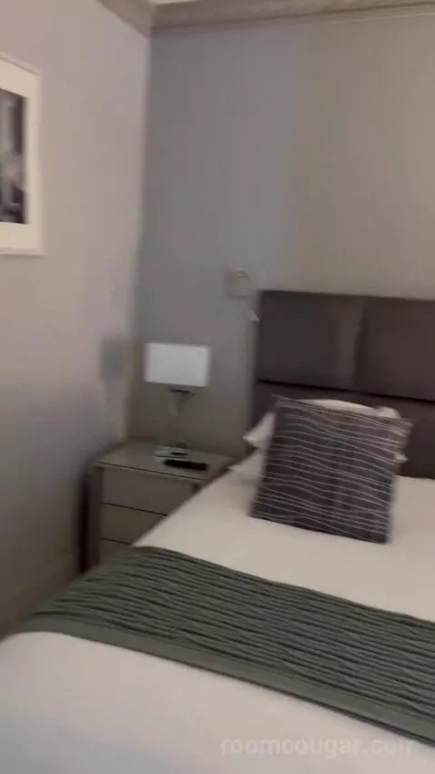 Deluxe Double Room bed picture #8