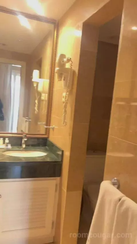 Deluxe Double Room bathroom picture #2