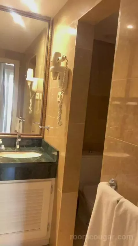 Deluxe Double Room bathroom picture #3