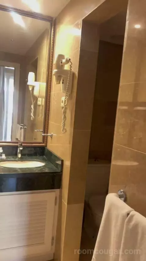 Deluxe Double Room bathroom picture #4