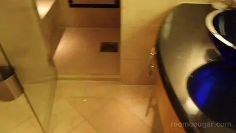 Royal Suite (#1556) bathroom picture #5