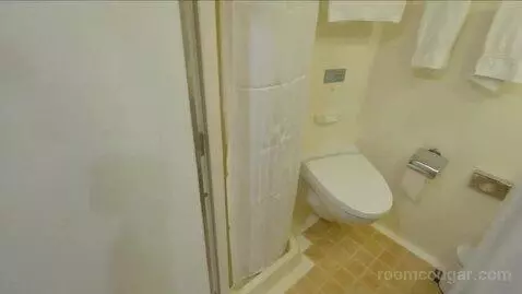 Inside Cabin (B252) bathroom picture #1
