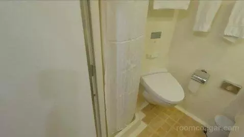 Inside Cabin (B252) bathroom picture #2