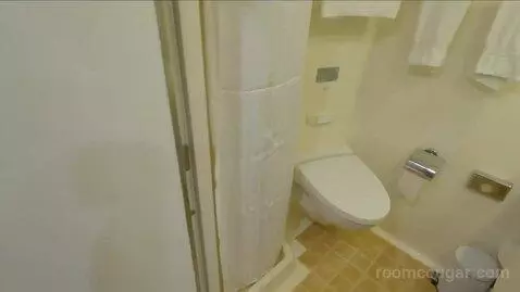 Inside Cabin (B252) bathroom picture #3