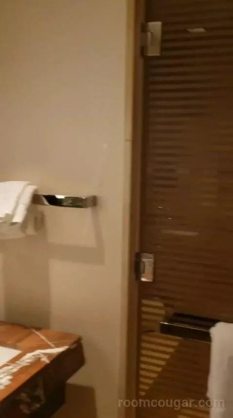 Deluxe King or Double Queen Room (#5109) bathroom picture #4