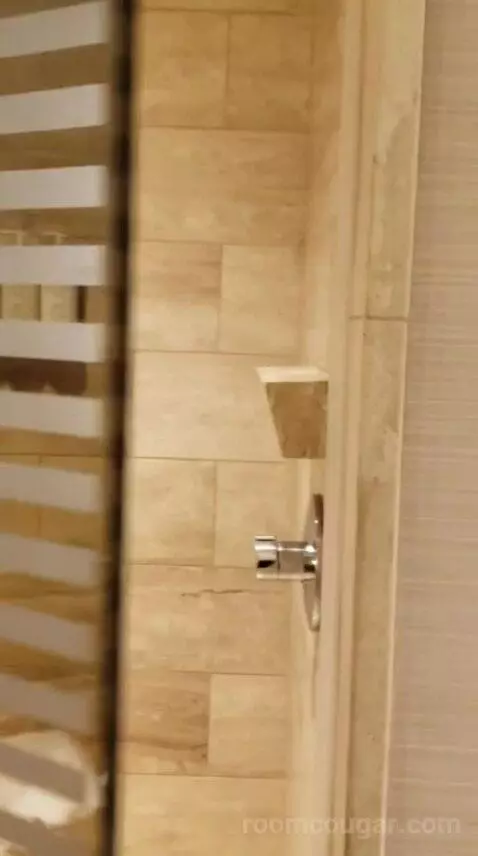 Deluxe King or Double Queen Room (#5109) bathroom picture #5