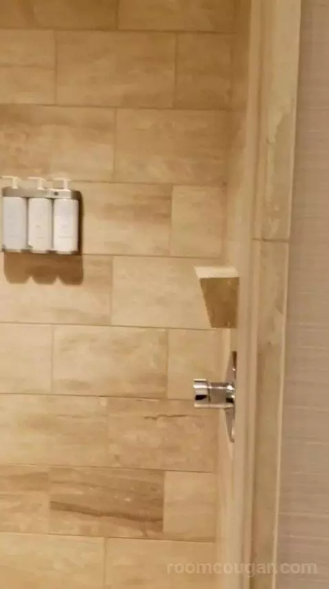 Deluxe King or Double Queen Room (#5109) bathroom picture #6