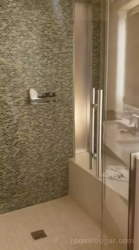 East Tower Deluxe King (#21207) bathroom picture #5