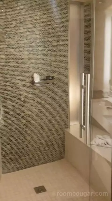 East Tower Deluxe King (#21207) bathroom picture #6