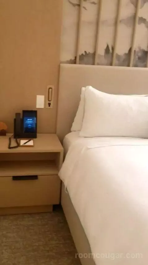 Suite (#506) bed picture #2