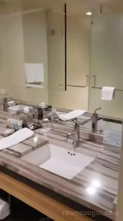 Luxury King Room bathroom picture #1