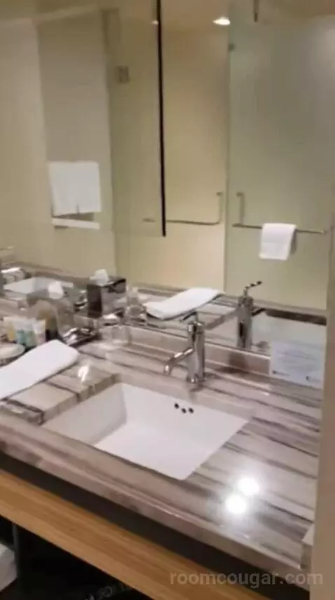Luxury King Room bathroom picture #2