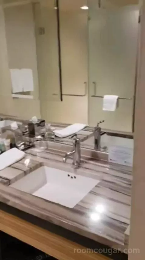 Luxury King Room bathroom picture #3