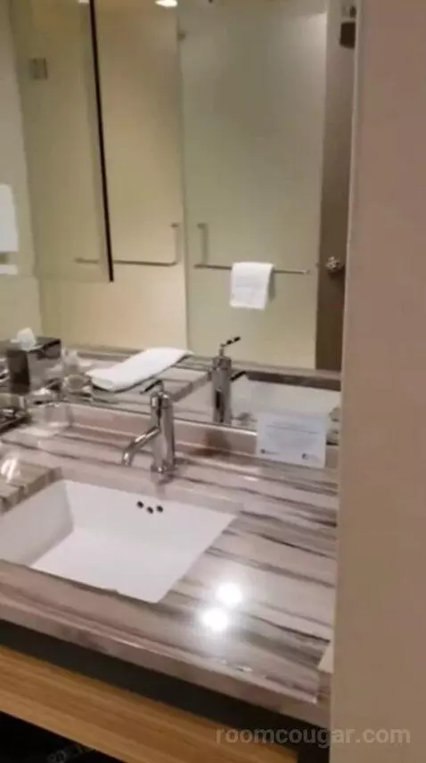 Luxury King Room bathroom picture #5
