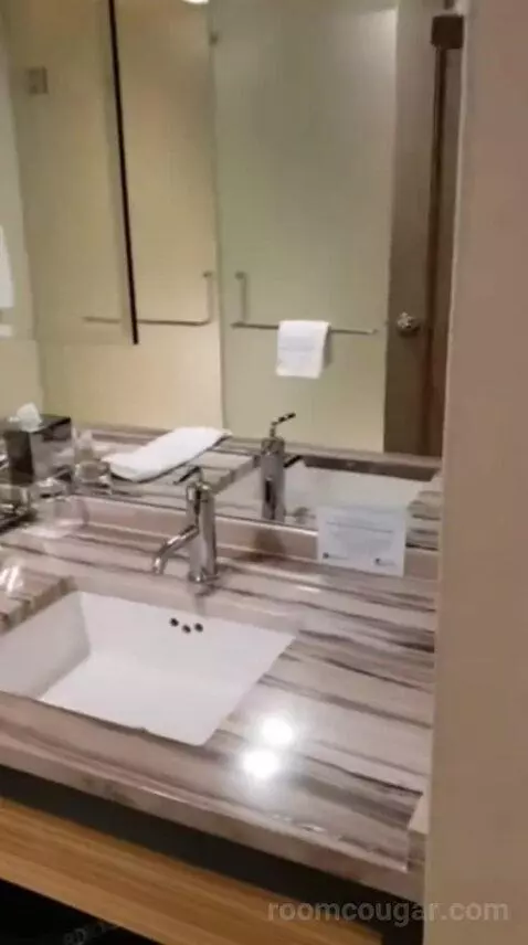 Luxury King Room bathroom picture #6