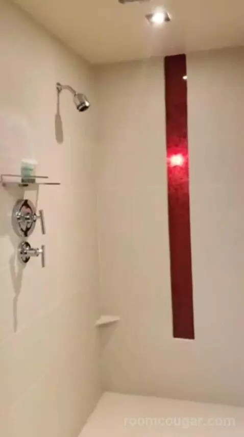 Luxury King Room bathroom picture #7