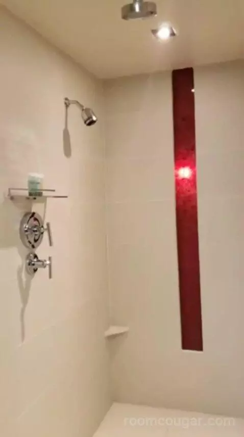 Luxury King Room bathroom picture #10