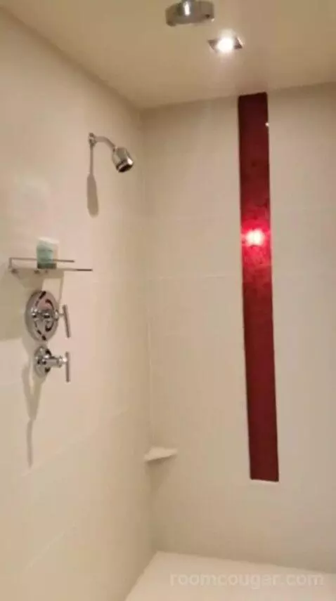 Luxury King Room bathroom picture #11